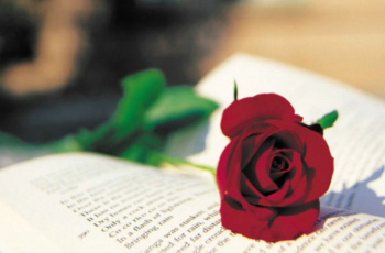 #ЛитМеханика